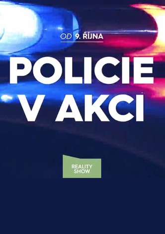 Policie v akci
