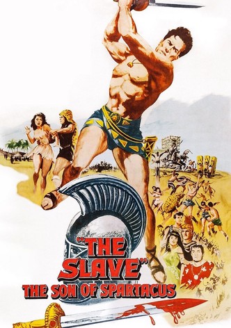 O Filho de Spartacus