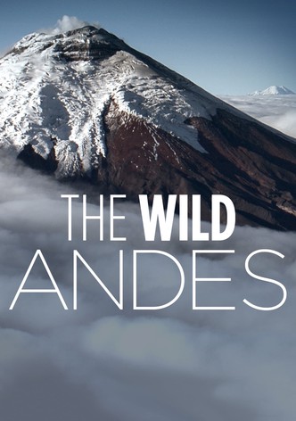 The Wild Andes