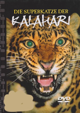 Natural Killers Predators Close Up: Kalahari Supercat