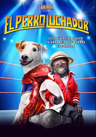 Russell, el perro luchador