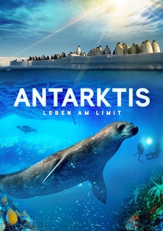 Antarktis - Leben am Limit