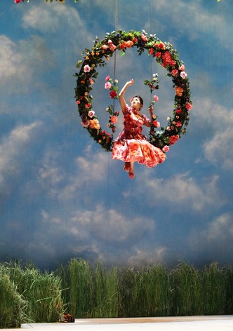 Donizetti: Don Pasquale