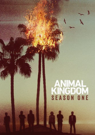 Animal Kingdom streaming tv show online