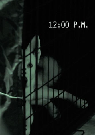 12:00 PM