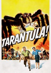 Tarantula!
