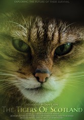 The Tigers of Scotland