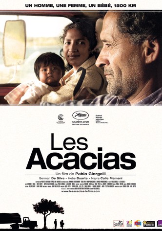 Les acacias