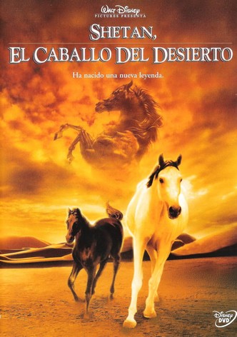 Shetan, el caballo del desierto