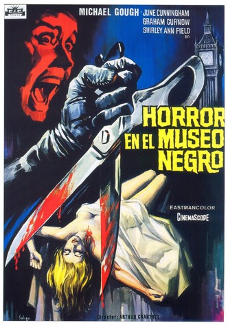 Horror en el museo negro