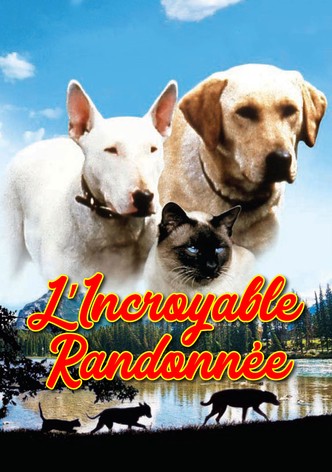 L'incroyable randonnée