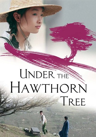 Under the Hawthorn Tree