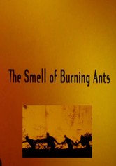 The Smell of Burning Ants