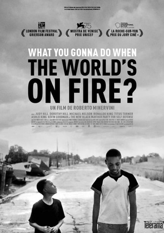 What You Gonna Do When the World's on Fire ?