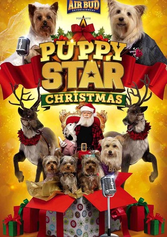 Puppy Star Christmas