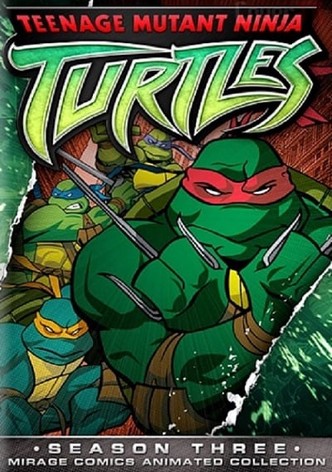 Les Tortues Ninja (2003) - Série TV 2003 - AlloCiné