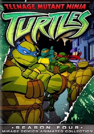 Les Tortues Ninja (2003, Série, 7 Saisons) — CinéSérie