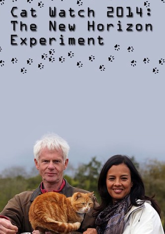 Cat Watch 2014: The New Horizon Experiment