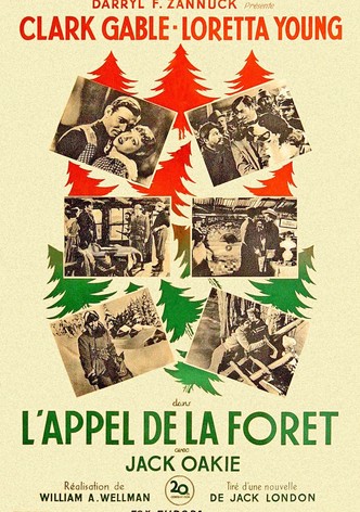 L'Appel de la forêt