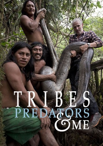 Tribes, Predators, and Me