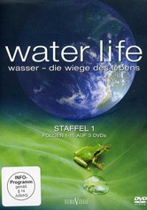 Water Life: Die Wiege des Lebens