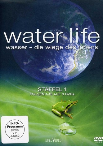 Water Life: Die Wiege des Lebens