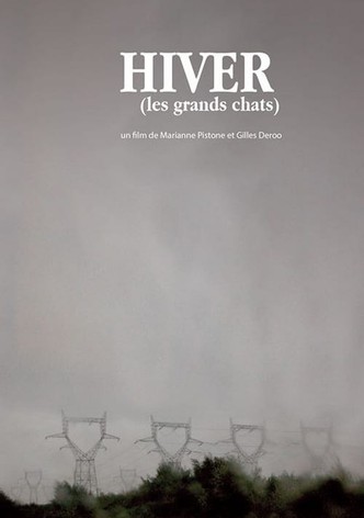 Winter (The Large Cats)