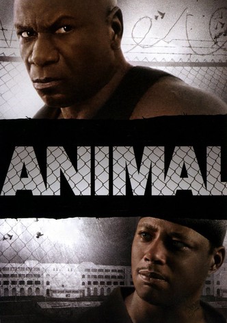 Animal