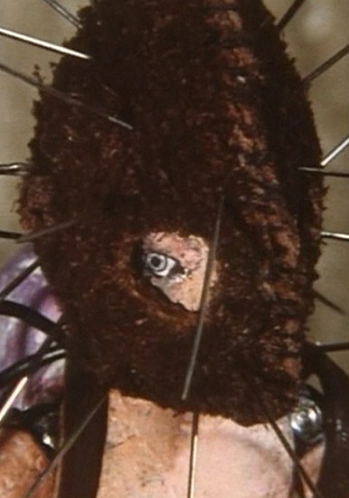 For Almost Forgotten Stories