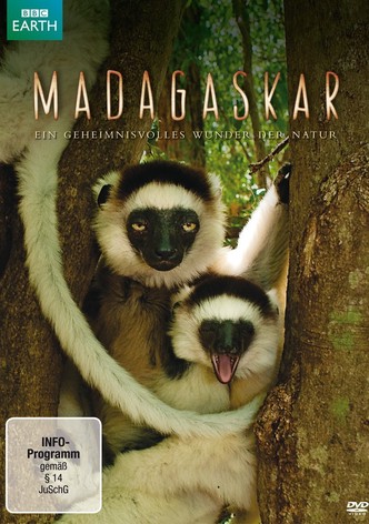 Madagaskar - Ein geheimnisvolles Wunder der Natur