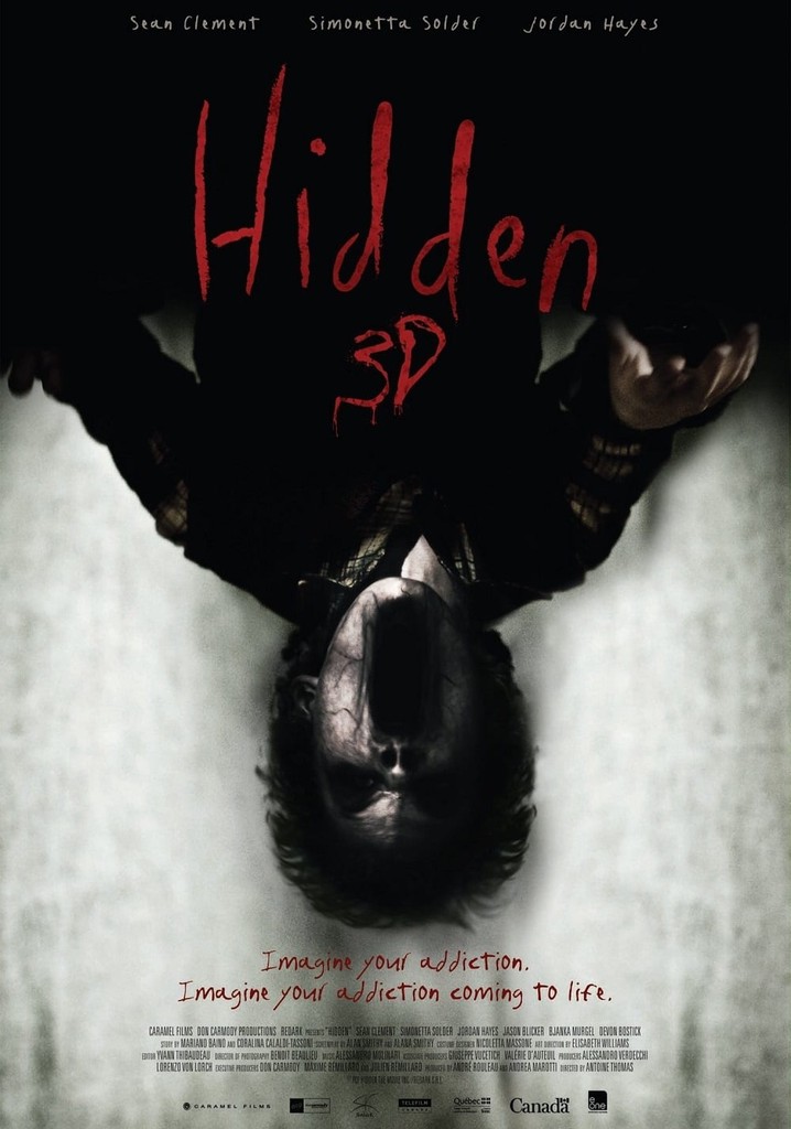 Hidden 3D