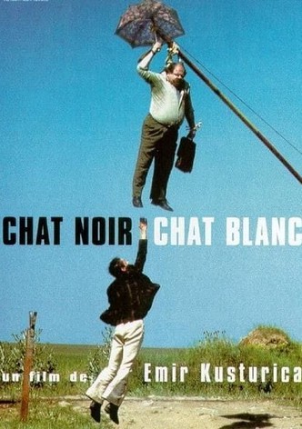 Chat noir, chat blanc