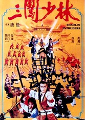 Shaolin Intruders