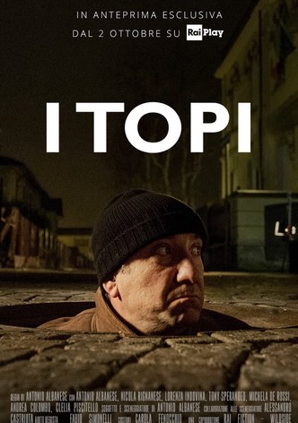 I topi