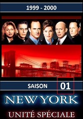 New York Unité Spéciale - Saison 1