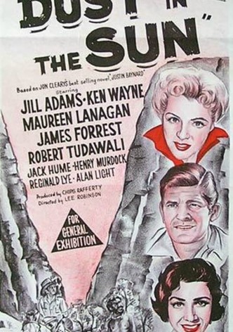 Dust in the Sun