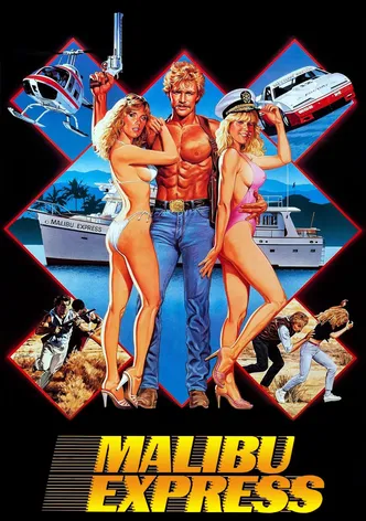 Malibu Express poster