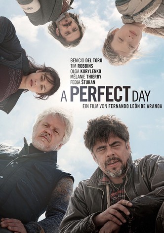 A Perfect Day