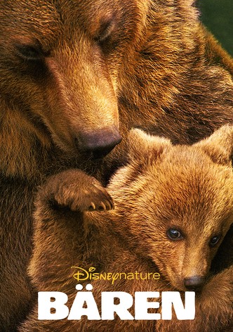 Bären