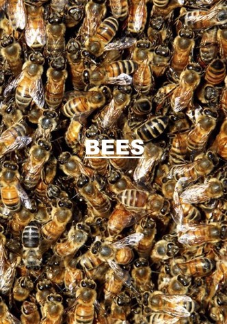 Bees