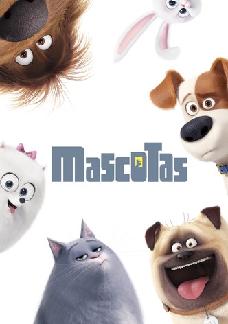 Mascotas