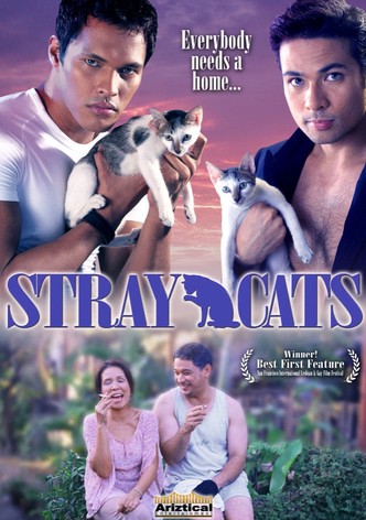 Stray Cats